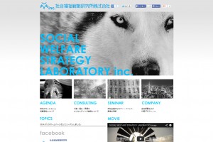 社会福祉戦略研究所株式会社